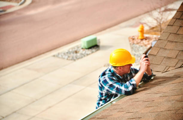 Best Roof Moss and Algae Removal  in Hartford, IL